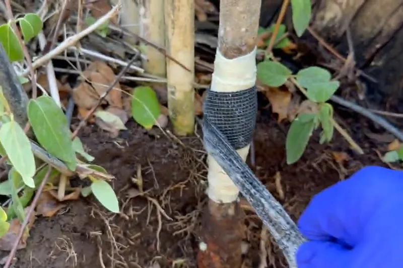 Exposed water service line with repair fittings installed for Water Line Repair & Replacement